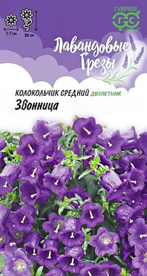 <div>
 Семена Колокольчик Звонница (средний).
</div>
 <article>
<p>
 Высота 80 см., диаметр цветка&nbsp; 5-7 см. Восхищаясь экзотическими цветами, свое сердце все-таки отдаем скромным и непритязательным «жемчужинам» среднерусской природы, таким как колокольчик.&nbsp; Симпатичное растение с нежными цветками бокальчато-колокольчатой формы, восхитительной лавандово-голубой окраски, собраны в крупные эффектные соцветия. Цветение пышное и долгое, с июня по сентябрь.&nbsp;
</p>
<p>
 Предпочитает солнечные участки с хорошо обработанными плодородными почвами. Выращивают через рассаду, чтобы получить цветущие растения в год посева. При безрассадном способе выращивания цветение наступает на второй год. Всходы появляются через 8-14 дней при температуре 15оС. Еще через 2-3 недели саженцы пикируют на расстоянии 10-15 см. В августе растения высаживают на постоянное место по схеме 30х30 см. Используется для оформления участка и для срезки. Хорошо сочетается с хостами, астильбами. В срезке стоит до 12 дней.
</p>
 </article>