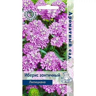 Семена Иберис зонтичный Лилициана (ЦВ) (Ароматный сад"1) 0,3гр