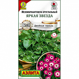 Мезембриантемум Яркая звезда Мезембриантемум Яркая звезда