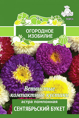 Семена Астра Сентябрьский букет помпонная.
Чудо астры! Растение высотой 40-55 см, компактное, ветвистое. 
Соцветия диаметром 4-5 см, разнообразной окраски. На растении до 30 соцветий. 
Используют очень широко: для посадки в сборные цветники группами, на рабатки – рядами и на срезку.
Посев: март
Глубина посева: 0.5 см
Высадка рассады: 25 мая- 5 июня
Время цветения: авг. – сент.
Схема посадки: 20х30 см