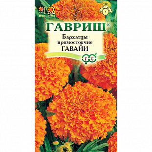 Семена Бархатцы Гавайи прямостоячие