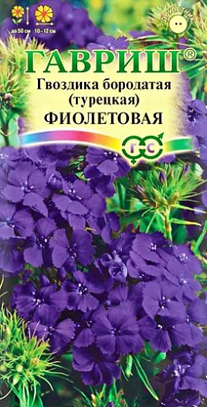 Семена Гвоздика бородатая (турецкая) Фиолетовая.<br>
 <br>
 Травянистое двулетнее растение с многочисленными узловатыми стеблями высотой 50 см. Стебли прямые, прочные, листья сидячие, ланцетные с серо-голубым оттенком. Цветки бархатистые, ароматные, пурпурно-фиолетовые, собраны в плотные щитковидные соцветия. Зимостойка, предпочитает освещенные участки с легкими плодородными почвами, может расти в полутени. Размножают посевом семян в грунт весной или под зиму. Оптимальная температура для прорастания семян 20 °C. Всходы появляются через 7-10 дней. Сеянцы пикируют или продергивают, выдерживая расстояние между ними в 5 см. Подросшие растения рассаживают на постоянное место. Цветет в июне – июле на второй год после посева. Используют для цветников, бордюров и получения высококачественной срезки.<br>