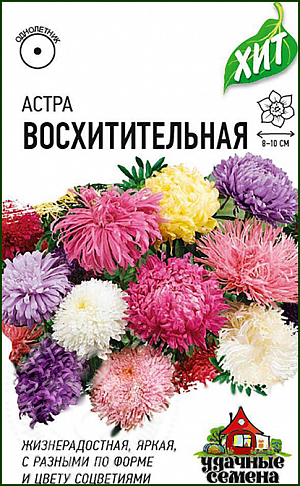 Семена Астра Восхитительная.
Смесь однолетних астр высотой до 70 см с пушистыми соцветиями диаметром до 10 см. 
Отличается крепкими стеблями и обильным продолжительным цветением. 
Для выращивания подходят хорошо освещенные участки с плодородной суглинистой или супесчаной почвой. 
Астры обладают высокой холодостойкостью – хорошо переносят заморозки до -3-(-4)°C. 
Выращивают, чаще всего, рассадным способом. Семена высевают в марте-апреле, пикируют с развитием первой пары настоящих листочков по схеме 5х5 см, в открытый грунт рассаду высаживают с середины мая до начала июня. Возможен подзимний посев астр: в конце октября на глубину 5-8 см. 
Сверху посевы мульчируют торфом или опилками на высоту 3-5 см. Весной (в конце марта-начале апреля) посевы раскрывают. 
Появившиеся в конце апреля всходы будут закаленными, а выросшие растения сильными, устойчивыми к заморозкам и обильно цвести. 
Используются для получения срезки и оформления участка.