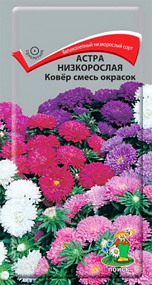  
 Семена Астра Ковер низкорослая смесь окрасок.
 
 Великолепный низкорослый сорт для ковровых цветников. Растение компактное, высотой около 20 см, с большим количеством боковых побегов. Цветет обильно с июля до морозов. Используют в сборных цветниках, на рабатках, для бордюров и минибукетов. 
 
 Агротехника. Растение предпочитает открытое солнечное место, но выносит и полутень. Лучше растет на легких, плодородных почвах. Не переносит внесения органических удобрений в год посадки. Семена высевают с середины февраля по апрель. Глубина заделки семян 0,5 см. При температуре +20 °С всходы появляются на 7-14 день. Через 3-4 недели посевы пикируют и выращивают при температуре 12-15 °С. В грунт рассаду высаживают во второй половине мая, расстояние между растениями 20 см.