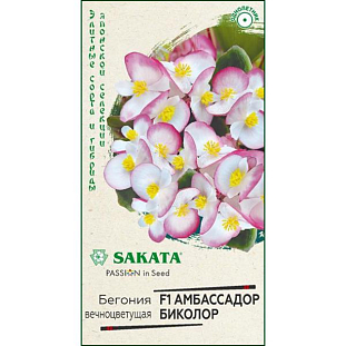 Семена Бегония Амбассадор Биколор F1