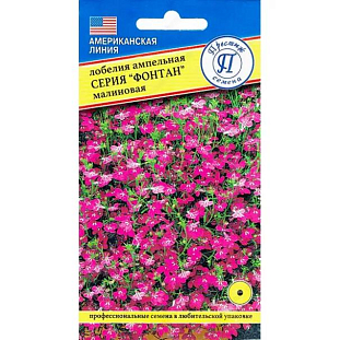 Семена Лобелия Фонтан малиновая
