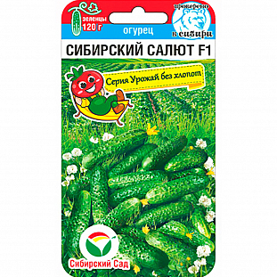 Семена Огурец Сибирский салют