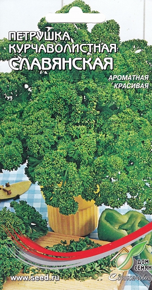 Петрушка Славянская курчаволистная