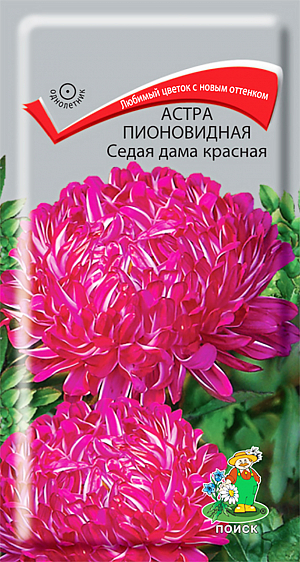 Семена Астра Седая Дама красная Пионовидная.
Изумительные букеты для срезки. Куст колонновидной формы, ветвистый, высотой 60 см. Цветоносы прочные, густооблиственные. Соцветия синие с белой полосой на лепестках, полусферические, густомахровые, непоникающие, 8-10 см в диаметре. Язычковые цветки широкие, приподняты вверх, закрывают трубчатые цветки. Цветет август-октябрь. Используют для посадки в сборные цветники группами, на рабатки – рядами и для срезки. 
Агротехника. Растение предпочитает открытое солнечное место, но выносит и полутень. Лучше растет на легких, плодородных почвах. Не переносит внесения органических удобрений в год посадки. Семена высевают с середины февраля по апрель.