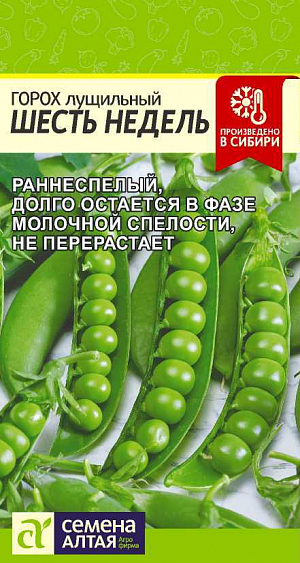 Семена Горох Шесть недель