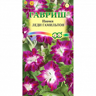 Семена Ипомея Леди Гамильтон