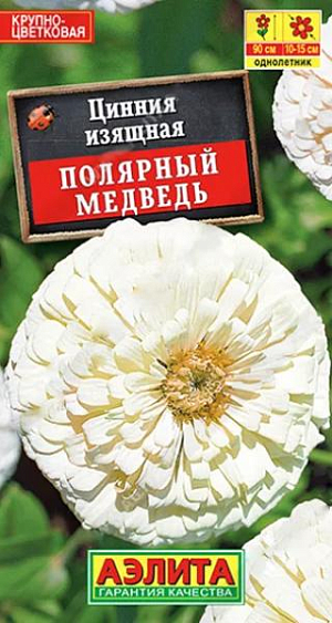 Семена&nbsp;Цинния Полярный медведь.&nbsp;Высокорослый сорт циннии с очень крупными (диаметром 10-15 см.), белыми, махровыми соцветиями. Кусты мощные, ветвистые, с большим количеством крепких цветоносов. Быстро растут и развиваются, достигают высоты 80-90 см. Растения используются для групповых и одиночных посадок в садовых цветниках. Отлично подходят для срезки, цветы долго сохраняют в воде свежесть и красоту.<br>
 <br>
 &nbsp;Циннии – растения теплолюбивые, быстрорастущие, относительно засухоустойчивые. Предпочитают солнечные участки с дренированными почвами среднего плодородия, нейтральной кислотности. В южных регионах возможен безрассадный способ выращивания.<br>