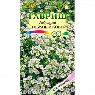 Лобулярия Снежный ковер Лобулярия Снежный ковер