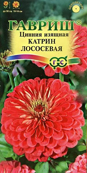 Семена Цинния Катрин Лососевая.
Неприхотливое однолетнее растение семейства Сложноцветные высотой до 90 см. Цветение обильное с июня до заморозков.
Лососевые георгиновидные соцветия до 10 -14 см в диаметре венчают прямые прочные стебли. 
Светолюбива, засухоустойчива и теплолюбива. Выращивают рассадным способом. Семена высевают в апреле. 
Всходы появляются через 4-6 дней. 
В начале июня растения высаживают на расстоянии 25-30 см. Используется для озеленения и получения срезки.