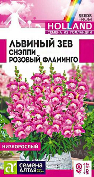 Семена Львиный зев Снэппи Розовый фламинго<br>
 <br>
 Великолепный низкорослый однолетник. Серия Snappy - исключительно компактная и очень ранняя, характеризующаяся прекрасным базальным ветвлением растений и богатой цветовой палитрой. Растения выравненные, компактные, не склонны к вытягиванию. Отличаются множеством ярких цветущих побегов высотой 20-25 см. Успешно применяется для создания бордюров, клумб, а так же для выращивания в горшках и контейнерах. Холодостойкое, засухоустойчивое растение. Хорошо растёт на солнечных участках, выносит небольшое затенение. Предпочитает плодородные почвы, не выносит переувлажнения. Выращивают рассадным способом или прямым посевом в грунт.<br>
