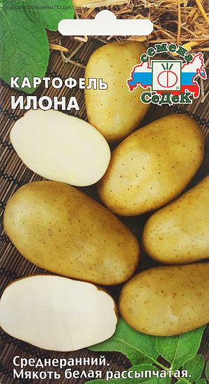 Семена Картофель Илона