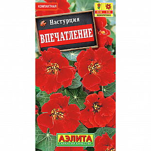 Настурция Впечатление