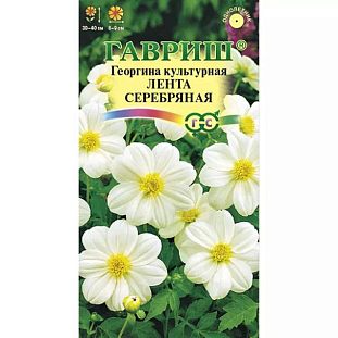 Семена Георгина Лента серебряная