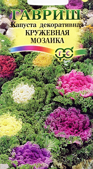 Семена Капуста декоративная Кружевная мозаика. 
 
 Это растение высотой до 60 см., двулетнее, выращивается как однолетник. Курчавые листья с сильногофрированными краями имеют зеленую, белую, кремовую или пурпурно-фиолетовую окраску, наиболее декоративны в конце лета –- начале осени. 
 Светолюбива, предпочитает богатые гумусом почвы; холодостойка, выдерживает во взрослом состоянии заморозки до -8-12 °C, в возрасте рассады –- до -4 °C. 
 Размножают семенами. На рассаду высевают в конце марта. При температуре почвы 18-20 °C всходы появляются через 3-5 дней. 
 Землю проливают до и сразу после посева, молодые всходы лишь немного опрыскивают и начинают поливать, когда они окрепнут. 
 Выращивают рассаду при температуре 12-16 °C. В конце апреля — начале мая ее высаживают в грунт через 50-60 см. 
 