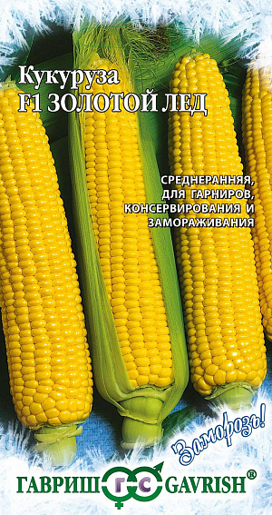 Семена Кукуруза Золотой лед F1