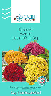 Целозия Амиго Цветной набор Целозия Амиго Цветной набор