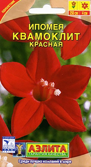 Семена Ипомея Квамоклит красная.
Очень необычная однолетняя лиана привлекает внимание не только яркими цветам, но и ажурными листьями, не встречающимися у других представителей этой группы растений. Она способна быстро взобраться по любой опоре на высоту до 2,5 м и образовать лёгкий занавес из воздушной зелени и многочисленных цветов-звёздочек ø 3-5 см. Не требует особого ухода. Будет достойным украшением террас, беседок и оград. 
Агротехника. Посев в открытый грунт в конце мая предварительно замоченными семенами, гнёздами по 2-3 шт на глубину 1-2 см. Всходы появляются на 5-7 день. Цветение с середины лета до заморозков. Можно сеять на рассаду в горшочки в конце апреля, это ускорит цветение на 3-4 недели. Влаго-, свето-, теплолюбива.