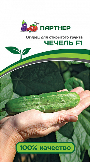 Семена Огурец Чечель