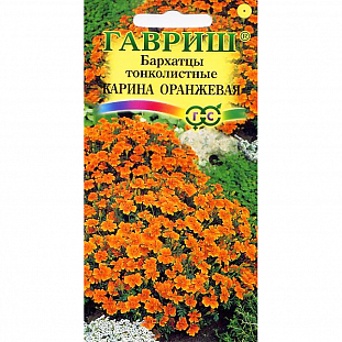 Бархатцы Карина Оранжевая тонколистные