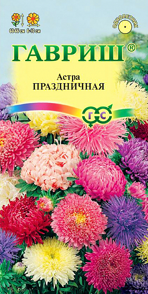 Семена Астра Праздничная смесь.
Однолетнее растение высотой 50-60 см. Соцветия разнообразной окраски, плоскоокруглые, диаметром 6 см. 
На растении до 30 соцветий. Для выращивания подходят хорошо освещенные участки с плодородной суглинистой или супесчаной почвой. 
Астры обладают высокой холодостойкостью: хорошо переносят заморозки до -3 -4 С. Выращивают, чаще всего, рассадным способом. 
Семена высевают в марте-апреле, пикируют с развитием первой пары настоящих листочков по схеме 5х5 см, в открытый грунт рассаду высаживают с середины мая до начала июня. Возможен подзимний посев астр на глубину 5-8 см с последующим мульчированием торфом или опилками. 
Используют для оформления цветников, клумб, рабаток и на срезку.