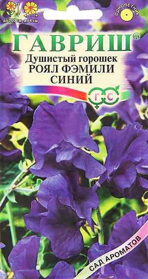 Семена Душистый горошек Роял Фэмили синий.
Однолетнее растение семейства Бобовые с лазающими стеблями высотой 200 см. Цветет с июля по сентябрь. 
Цветки крупные, синей окраски, собраны в изящные кисти, обладают приятным тонким ароматом. 
Светолюбив, влаголюбив и холодостоек, предпочитает плодородные суглинистые и супесчаные почвы. 
Выращивают рассадным и безрассадным способом. В открытый грунт посев проводят в первой декаде мая. 
На рассаду семена высевают в конце марта-начале апреля в горшочки. Рассаду высаживают в середине мая на расстоянии 25-30 см.
Семена перед посевом желательно прорастить. 
Используется в озеленении, кроме того, срезанные цветки хорошо сохраняют свежесть в воде и используются в букетах.