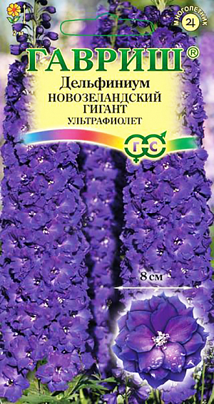Семена Дельфиниум Новозеландский гигант ультрафиолет.
Новозеландские гиганты — признанные мировые законодатели селекционной моды среди дельфиниумов. Исключительные декоративные качества, зимостойкость, долговечность и неприхотливость, сделали эти сорта самым желанным приобретением многих профессионалов и садоводов-любителей. Растения рослые, более 2 м, с прочными здоровыми цветоносами, но все же нуждается в опоре. Необыкновенно крупные махровые цветки сложного, словно переливающегося фиолетового цвета, собраны в плотное, буквально набитое соцветие. Первое цветение происходит на второй год после посева, в июне-июле. Повторное — в августе. Дельфиниумы предпочитают солнечные, защищенные от ветра участки с плодородными нейтральными почвами и хорошим дренажем (не выносит переувлажнения). 