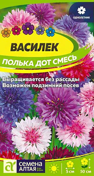 Семена Василёк низкорослый "Полька Дот".<br>
Любимый садоводами неприхотливый однолетник, отличный медонос. Красочная смесь низкорослых сортов с махровыми цветками различных расцветок: от белых и нежно-голубых до ярко-розовых и лиловых. Растение формирует прямостоячие обильноветвящиеся стебли высотой до 50 см. Применяется в групповых и одиночных посадках на газоне, для создания клумб, бордюров, рабаток и срезки в букеты. Замечательное фоновое растение для цветников, палисадников, мавританских газонов. Светолюбивое, холодостойкое, засухоустойчивое растение. Неприхотливо, но предпочитает открытые солнечные участки на рыхлых питательных нейтральных почвах. Выращивают посевом семян в открытый грунт в конце апреля – начале мая, как только почва прогреется до +3-5°C. Холодов и кратковременных ночных заморозков растения не боятся. Возможен и подзимний посев в октябре при температуре близкой к нулю. Семена высевают в бороздки глубиной 1,5-2 см, предварительно пролитые водой. Сеют с шагом в 5-7 см, мульчируют слоем почвы 0,3-0,5 см и поливают. Всходы появляются через 7-14 дней. Спустя 2-3 недели всходы прореживают с интервалом 25-30 см между растениями. Уход заключается в рыхлении, прополке и поливе 1 раз в 3-4 дня, однако во влажную погоду поливы сокращают, так как растение не переносит переувлажнения. Цветение обильное и продолжительное, с июня до сентября. Для продления цветения увядшие корзинки удаляют.