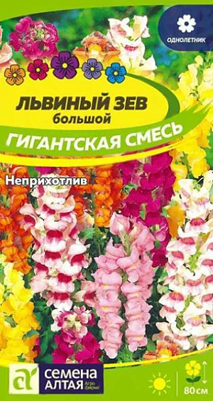 Семена Львиный зев Гигантская смесь<br>
 <br>
 Смесь сортов львиного зева различных окрасок. Кустики пирамидальные, высотой до 80 см, с несколькими цветоносами. Многочисленные крупные ароматные цветки собраны в большие кистевидные соцветия. Цветение очень продолжительное, у каждого отдельного цветка оно продолжается до 12 дней, у соцветия в целом – до 1 месяца. Используется как в одиночных, так и в групповых посадках, выращивается на клумбах, в миксбордерах. Отличный материал для срезки. Холодостойкое, засухоустойчивое растение. Хорошо растёт на открытых солнечных участках, выносит небольшое затенение. Предпочитает богатые, хорошо удобренные, слегка увлажнённые почвы, но не выносит переувлажнения. Выращивают как рассадным способом, так и прямым посевом семян в грунт. Посевы на рассаду проводят с начала марта.<br>