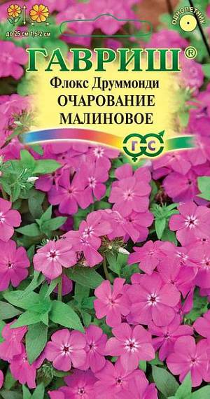 Семена Флокс Друммонда Очарование малиновое.
Эффектная крупноцветковая смесь однолетних низкорослых сортов флокса с обильным цветением и ошеломляюще красивой окраской. Растения компактные, высотой до 25 см. Цветки до 1,5-2 см в диаметре, малиновые, собраны в щитковидные соцветия. Предпочитает солнечные места и легкие дренированные плодородные почвы с большим количеством органики. 
Посев на рассаду — в марте-апреле, высадка в грунт — в мае, через 15 см. Цветет с июня до заморозков. Используют в качестве клумбового и бордюрного растения, выращивают в контейнерах и горшках, на каменистых горках. Подходит для ярких мини-букетов.