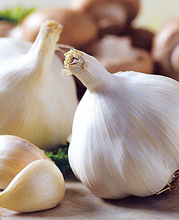 Чеснок озимый Сибирский 10шт