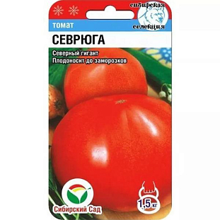 Семена Томат Севрюга