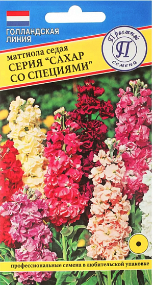 Семена Маттиола седая Сахар со специями смесь окрасок.
Однолетник. Ранняя, хорошо ветвящаяся серия маттиолы с махровыми (50-60%) цветками. Цветки ароматные, собраны в крупные плотные соцветия. Высота растения - 20-25 см. Используют для бордюров и украшения балконов, высаживают на клумбах и в рабатках, садовых контейнерах и вазонах.Посев осуществляют в марте-апреле в рассадные ящики. Семен равномерно распределяют по поверхности влажного компоста, слегка заделывают, накрывают стеклом или прозрачной пленкой для поддержания влажности. Семена прорастают 5-7 дней при температуре 16-18 градусов. После прорастания пленку или стекло убирают. В дальнейшем выращивают на свету, но избегая попадания прямых солнечных лучей, при температуре 15-18 градусов. После появления 1 -2 пары настоящих листочков сеянцы пикируют в отдельные горшочки, так как сеянцы плохо переносят пересадку. На постоянное место рассаду высаживают с середины мая с шагом 15-20 см. Зацветает через 10-12 недель после посева.Предпочитает плодородные известкованные почвы. Светолюбива, но выносит полутень. Холодостойка, переносит заморозки до минус 5 градусов. Полив необходим только в сухую погоду.