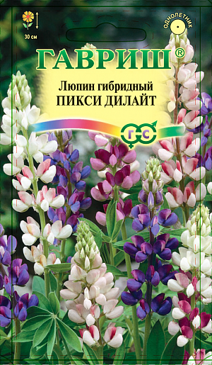 Семена Люпин Пикси Дилайт <br>
 <br>
 Однолетнее декоративное растение из семейства Бобовые высотой 30 см. Цветет с июня по сентябрь. Цветки розовой, белой, голубой окраски, как однотонные, так и двухцветные. Светолюбив, но может расти при небольшом затенении, холодостоек, к почве нетребователен. Семена высевают в апреле-начале мая в открытый грунт. Перед посевом семена желательно замачивать. Всходы появляются через 7-14 дней. Расстояние между растениями должно составлять 20-25 см. Используют для посадки в группах, рабатках и бордюрах.<br>