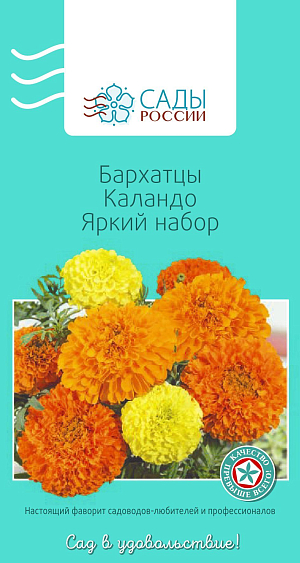 Бархатцы африканские Каландо Яркий

Бархатцы прямостоячие, или африканские. Куст мощный с прочными цветоносами, соцветия густомахровые гвоздиковидные до 8 см диаметром. Достаточно холодостойки, но рассаду высаживают в грунт, когда минует угроза заморозков.