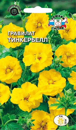 Семена Гравилат Тинкербелл чилийский желтый.
Прямостоячее растение с непарноперистыми листьями в прикорневой розетке и изящными цветоносами. Цветки махровые, золотисто-желтые, до 4 см в диаметре, собраны в метельчатое соцветие. Хорошо растет на открытых, солнечных местах (выносит полутень) с дренированной почвой, отзывчив на полив. На зиму рекомендуется легкое укрытие листьями. Используют для групповых посадок, миксбордеров, для оформления прибрежных участков у ручьев и водоемов.
