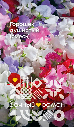 Семена Горошек душистый (смесь)

Знаменитый сортотип, относится к группе Спенсера. Растения высокорослые, лазающие. Цветки ароматные, крупные, до 4,5 см, «воздушные», с верхним волнистым лепестком. На длинных цветоносах распускается до 6 бутонов. Используется для вертикального озеленения балконов и садовых конструкций, идеален для срезки.