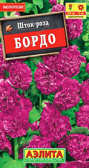 Семена&nbsp;Шток-роза Бордо.&nbsp;Величественные, стройные растения высотой до 2,5 м. Очень крупные, густомахровые цветки диаметром 10-12 см. собраны в гигантские соцветия – вытянутые кисти. Популярный сорт для посадки группами, для заднего плана смешанных цветников, декорирования стен и оград, создания изгородей при зонировании участка и на срезку. Срезанные соцветия великолепно стоят в воде, распускаясь до последнего бутона.<br>
 <br>
 Посев в открытый грунт на постоянное место в середине мая, в лунки по 2-3 шт. Всходы появляются через 2 недели, их прореживают, оставляя по 1 растению в лунке. Рекомендуем лёгкое укрытие на случай бесснежной зимы. Зацветает в июле следующего года.<br>