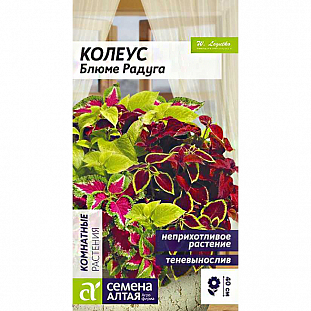 Семена Колеус Блюме Радуга смесь