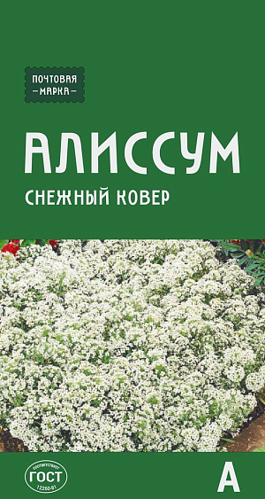 Алиссум Снежный ковёр 

Прекрасное низкорослое растение с медовым ароматом. Разрастаясь, стелется и образует воздушное белое покрывало. Мелкие белоснежные цветки собраны в небольшие шапки и сладким нектаром привлекают в сад пчел. Для непрерывного цветения и аккуратного вида удаляют все отцветшие соцветия.
Выращивают на альпийских горках, в балконных ящиках или по периметру цветников.
Высота: 10–15 см.
