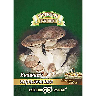 Мицелий грибов Вешенка Королевская Мицелий грибов Вешенка Королевская