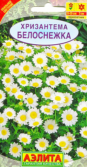 Семена Хризантема Белоснежка.
Прекрасная низкорослая хризантемка. Кусты сильноветвистые, шаровидные по форме, с обильнейшим цветением. Многочисленные корзинки-ромашечки непрерывно распускаются с конца июня до глубокой осени. Легко переносит весенние и осенние заморозки. Отлично смотрится в качестве бордюра вдоль дорожек, на передних планах сборных цветников, в контейнерном декоре сада и балкона. Соцветия пригодны для небольших букетов, в воде стоят 4-5 дней. Агротехника. Посев семян непосредственно в грунт ранней весной или под зиму, в конце октября. Всходы прореживают с шагом 25-30 см между растениями. Посев на рассаду в начале апреля ускоряет цветение на 2-3 недели. Хорошо развивается на нейтральных почвах легкого и среднего мехсостава, при солнечном местоположении. Благодарно реагирует на периодические подкормки. Для продолжительного и обильного цветения растениям необходим своевременный полив, регулярная прополка, рыхление и подкормка минеральными удобрениями
