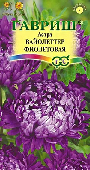 Семена Астра Вайолеттер фиолетовая<br>
 <br>
 Растение колоновидное, с 10-12 цветоносами, высотой до 80 см. Соцветия пионовидные, округлые, состоящие из длинных язычковых фиолетовых цветков, завихряющихся к центру. Для выращивания подходят хорошо освещенные участки с плодородной суглинистой или супесчаной почвой. Астры обладают высокой холодостойкостью – хорошо переносят заморозки до -3-4°C. Выращивают, чаще всего, рассадным способом. Используются для получения срезки и оформления участка.<br>
