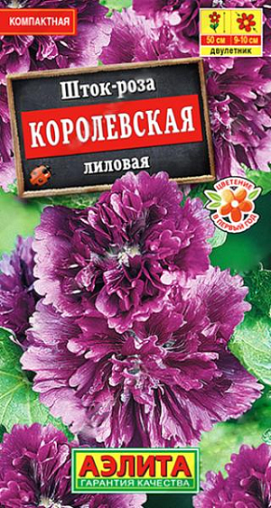 Семена&nbsp;Шток-роза Королевская лиловая.&nbsp;Сорт формирует компактные, аккуратные кусты высотой всего 50 см – что весьма необычно для преимущественно высокорослых шток-роз. Цветет в год посева, что также необычно для двулетников, к которым причисляют шток-розы. Цветки диаметром 9-10 см, махровые, оригинальной формы, с изрезанным краем лепестков, с тонким, приятным ароматом. Растения пышно цветут с июля по сентябрь. Используются для оформления клумб, рабаток, миксбордеров, контейнеров. Срезанные соцветия великолепно распускаются в воде до последнего бутона.<br>
 <br>
 &nbsp;Посев семян на рассаду проводят в отдельные горшки. Растения холодостойкие и засухоустойчивые. Посадки размещают на дренированных, глубоко обработанных, плодородных почвах нейтральной кислотности.<br>