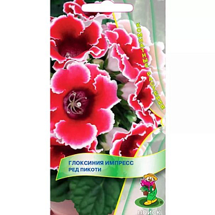 Семена Глоксиния Импресс Ред Пикоти