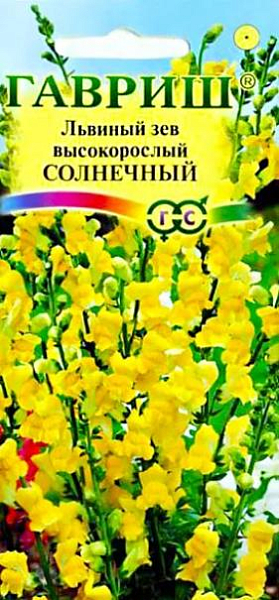 Семена Львиный зев (Антирринум) Солнечный<br>
 <br>
 Великолепный крупноцветковый срезочный сорт. Декоративное растение из семейства Норичниковые, культивируемое как однолетник, высотой 70-90 см. Цветет с конца июня до поздних заморозков. Цветки крупные, желтые, собраны в кистевидные соцветия. Холодостоек, светолюбив, к почвам нетребователен, в засушливый период нуждается в поливе. Выращивают рассадным способом. Используется для групповых посадок и цветников, а также для получения высококачественной срезки (львиный зев стоит в воде до двух недель).<br>